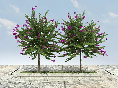 Green Leafy Trees With Purple Flowers Growing On Stone Paved Ground Under Blue Sky 3d model