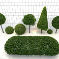 Various Shaped Trimmed Bushes With Round Cone And Oval Forms Displayed On White Surface 3d model