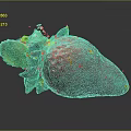 Juicy Fresh Red Strawberry With Green Leaves On Dark Reflective Surface