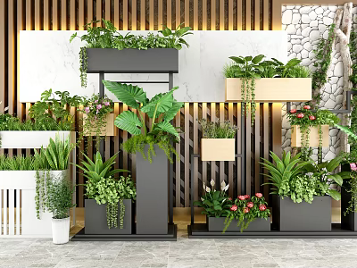Bonsai Potted Plants With Green Leaves And Colorful Flowers In Modern Containers For Indoor Decoration 3d model
