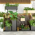 Bonsai Potted Plants With Green Leaves And Colorful Flowers In Modern Containers For Indoor Decoration
