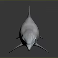 White Dolphin on Dark Background with Clear Reflection and Smooth Surface 3d model