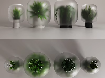 Decorative Ornament Set with Frosted Glass Vases Green Plants Various Sizes and Bases 3d model