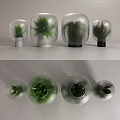Decorative Ornament Set with Frosted Glass Vases Green Plants Various Sizes and Bases
