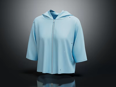 Light Blue Hooded Short Sleeve Zipper Casual Sweatshirt With Loose Fit Design 3d model