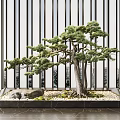 Indoor Decorative Bonsai Tree With Green Foliage Rocks Moss And Modern Design