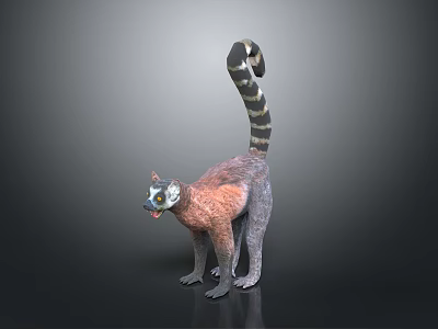 Realistic 3D Lemur Model Standing With Long Striped Tail And Detailed Fur 3d model