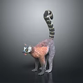 Realistic 3D Lemur Model Standing With Long Striped Tail And Detailed Fur 3d model