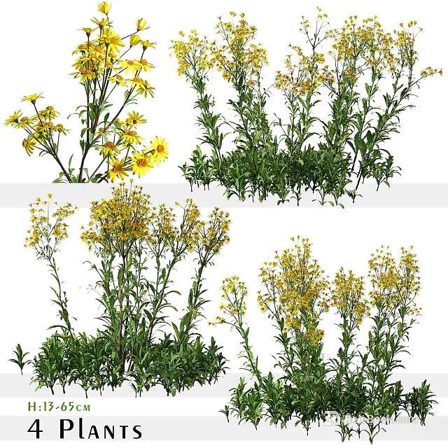 Artistic Decorative Ornament Set With Yellow Flowers And Green Plant Stems 3d model 