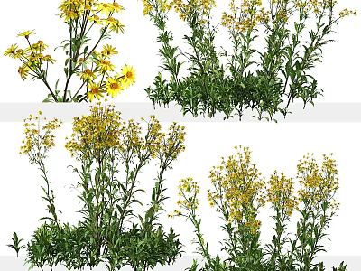 Artistic Decorative Ornament Set With Yellow Flowers And Green Plant Stems 3d model
