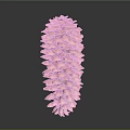 Natural Brown Pine Cone With Green Tip On Top Against Dark Background