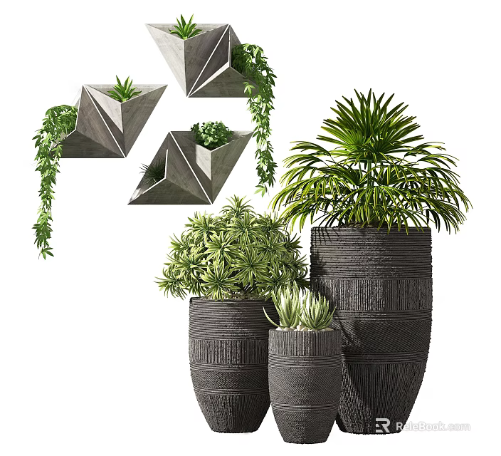 Potted Bonsai Plants With Geometric Hanging Planters Large Pots And Lush Green Foliage 3d model 