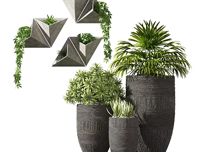 Potted Bonsai Plants With Geometric Hanging Planters Large Pots And Lush Green Foliage 3d model