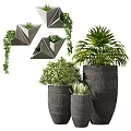 Potted Bonsai Plants With Geometric Hanging Planters Large Pots And Lush Green Foliage