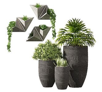 Modern Potted Plant Indoor Plant Potted Plant Indoor Potted Vase Green Plant Decorative Flower Pot 3d model