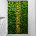 Indoor Green Living Wall Design With White Panel And Natural Foliage