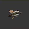 Taxidermy Bird With Green Head Blue Wings White Belly And Orange Feet Perched On Rock