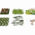 Ground Cover Plants With Diverse Species Colorful Blooms And Green Foliage