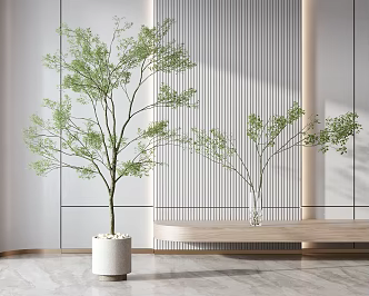 Modern potted plant potted combination 3d model