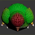 Colorful Bird with Red Head Green Body White Belly Orange Feet and White Claws