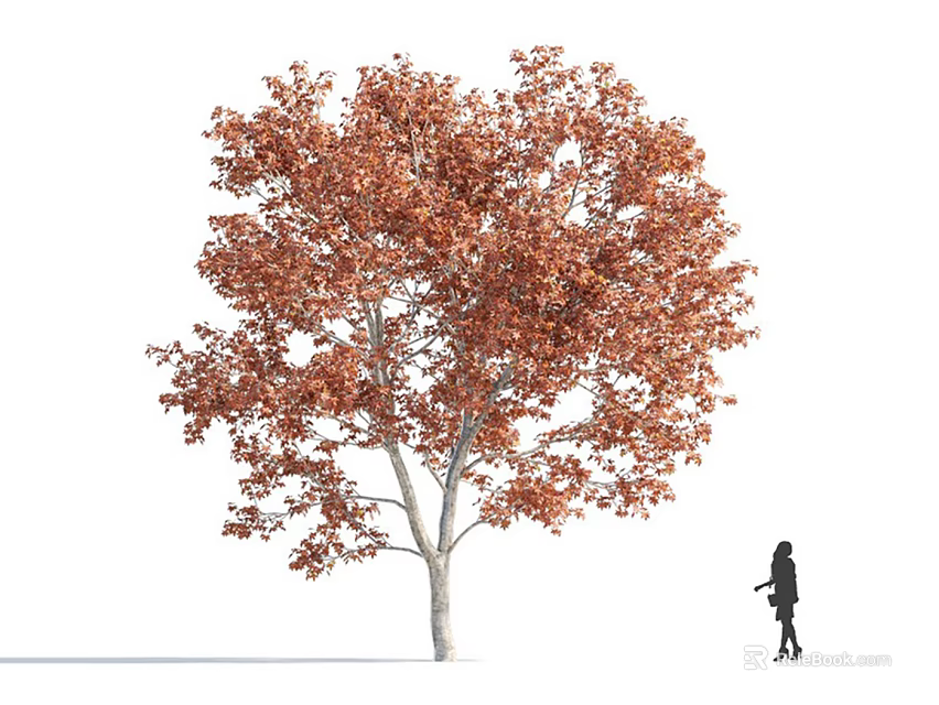 Tall Deciduous Tree with Vibrant Orange Red Leaves and Silhouette Figure Beside It 3d model 