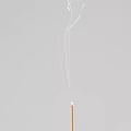 Decorative Ornament Set With Clover Frame Golden Flower Branch Incense Stick Open Book Wood Table