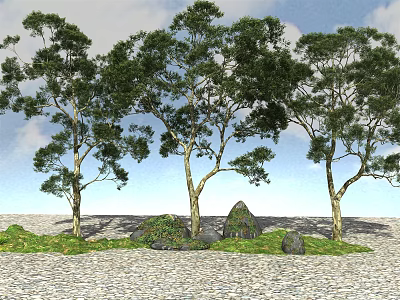 Tall Lush Trees with Green Foliage Rocks and Grass under Blue Sky 3d model