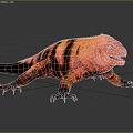 Colorful Striped Reptile In Natural Grassland