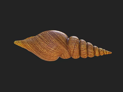 modern conch 3d model