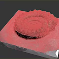 Ancient Marine Ammonite Fossil Displayed on White Platform with Detailed Spiral Shell