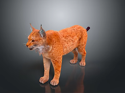 Orange Spotted Lynx With Tufted Ears And Short Tail In 3D Rendered 3d model