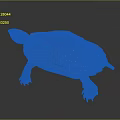 Vibrant Patterned Turtle With Brown Orange Shell And Textured Scaly Legs