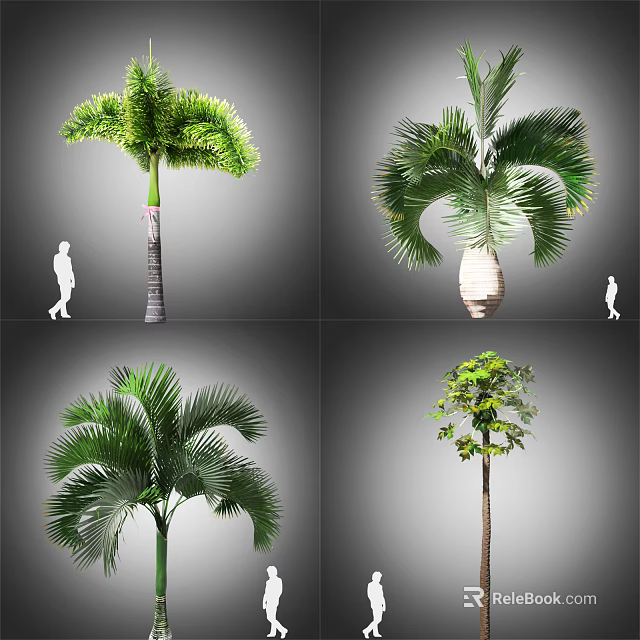 Different Arbor Varieties In Garden Landscaping Featuring Green Leaves And Trunk Details 3d model 