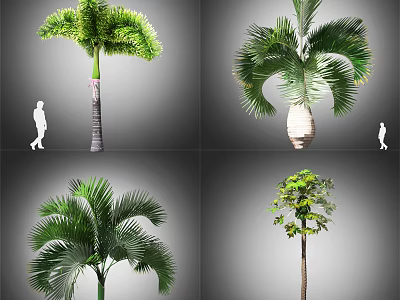 Different Arbor Varieties In Garden Landscaping Featuring Green Leaves And Trunk Details 3d model