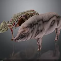 Detailed Complete Pig And Anatomical Model Displaying Internal Organs And External Hair