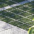 Green Eco Friendly Parking Lot With Neatly Arranged Grass Pavers And Growing Grass