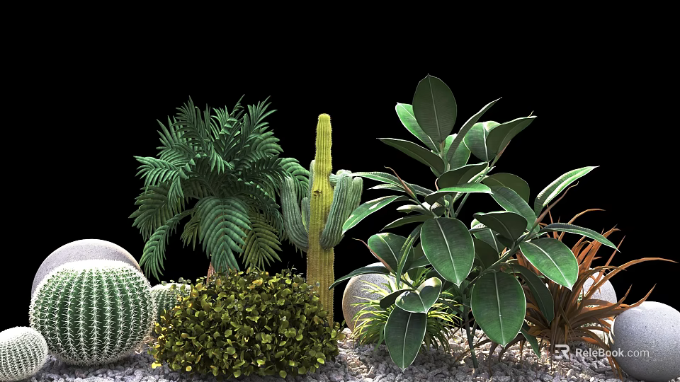 Shrubs with Cactus Palm Leaves Large Leaf Plants and Pebbles on Black Background 3d model 