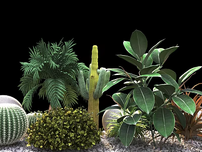 Shrubs with Cactus Palm Leaves Large Leaf Plants and Pebbles on Black Background 3d model