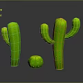 Three Green Cactus Plants With Columnar And Round Shapes On Gray Background