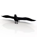 Black Bird With Spread Wings Standing on White Surface With Reflection 3d model