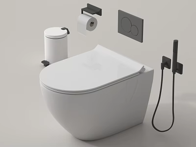 Modern Toilet Design With Toilet Paper Holder Flush Plate And Bidet Spray 3d model