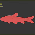 Brown Scaled Fish With Black Eyes Fins And Tail On Gray Background With Reflection Below