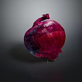 Modern Yellow Onion Purple Onion White Onion Red Onion 3d model