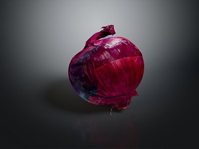 Modern Yellow Onion Purple Onion White Onion Red Onion 3d model