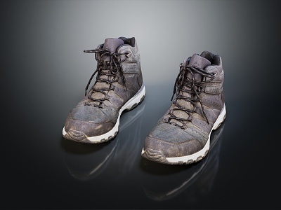 Modern Shoes Travel Shoes Mountaineering Shoes Casual Shoes 3d model