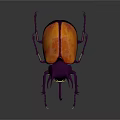 Vibrant Purple Beetle With Orange Shell And Long Antennae On Dark Background