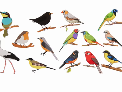 Different Colorful Bird Silhouettes Perched On Various Wooden Branches In Nature 3d model