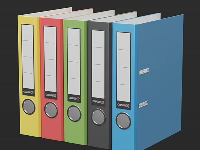 Colorful Ring Folders In Assorted Colors With Labeled Windows For Office Document Organization 3d model