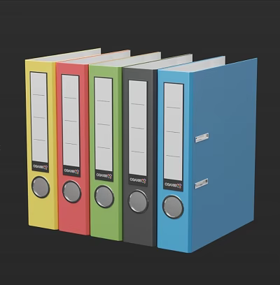 Colorful Ring Folders In Assorted Colors With Labeled Windows For Office Document Organization 3d model