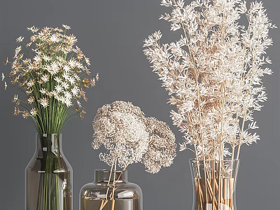 White Dried Flowers In Clear Glass Vases Elegant Home Decor Display Arrangement 3d model